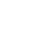 NetBorm Logo